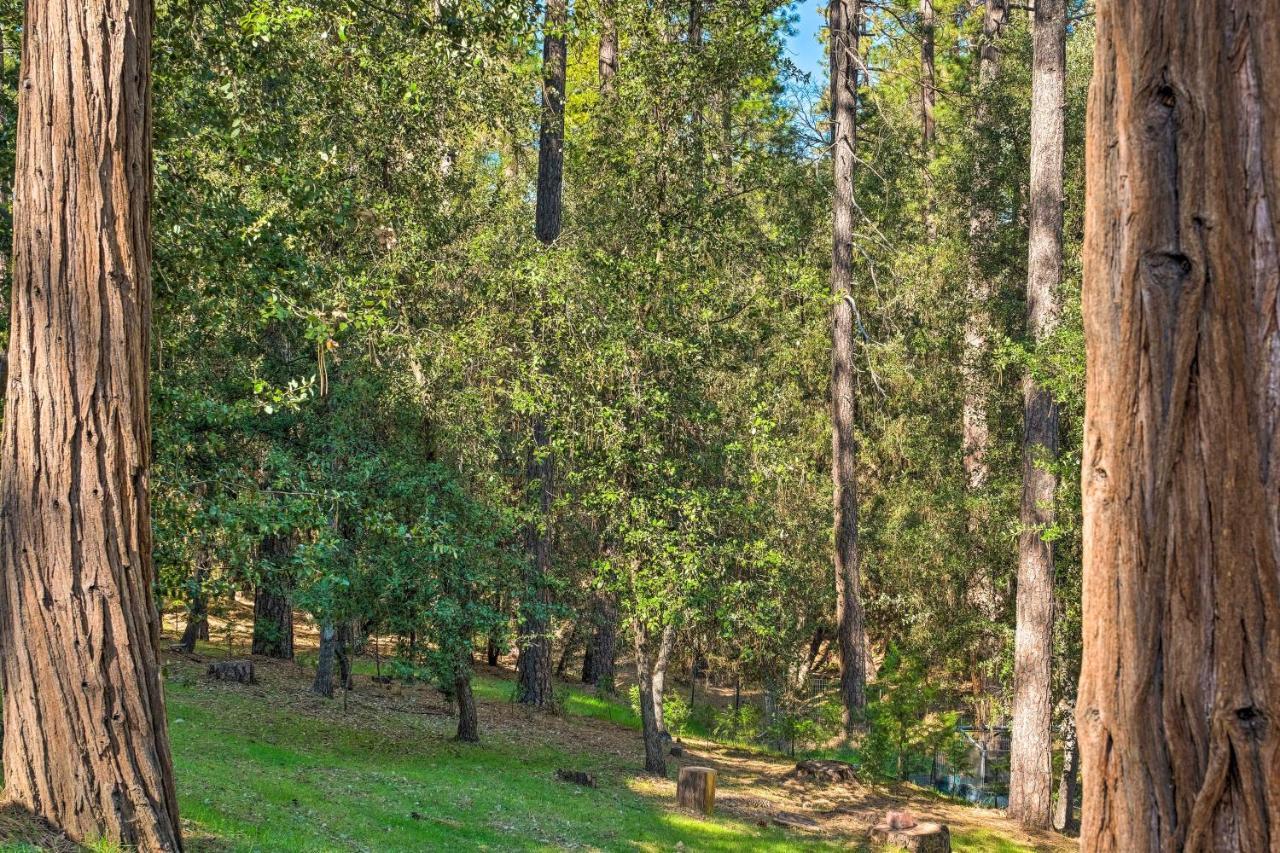 Convenient Apt With Fire Pit About Half-Mi To Lake! Groveland Esterno foto